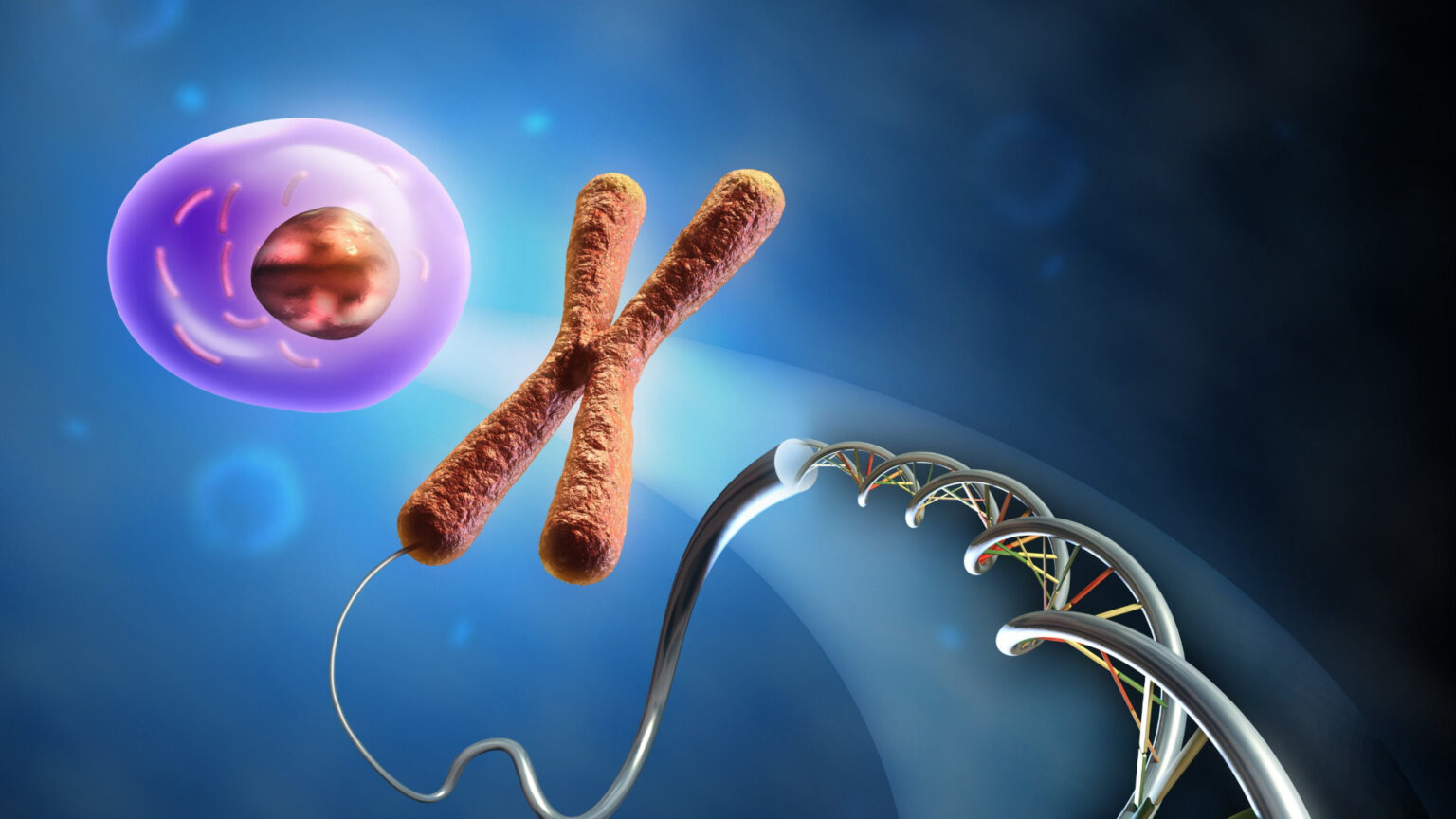 wallpaperflare.com_wallpaper (1)